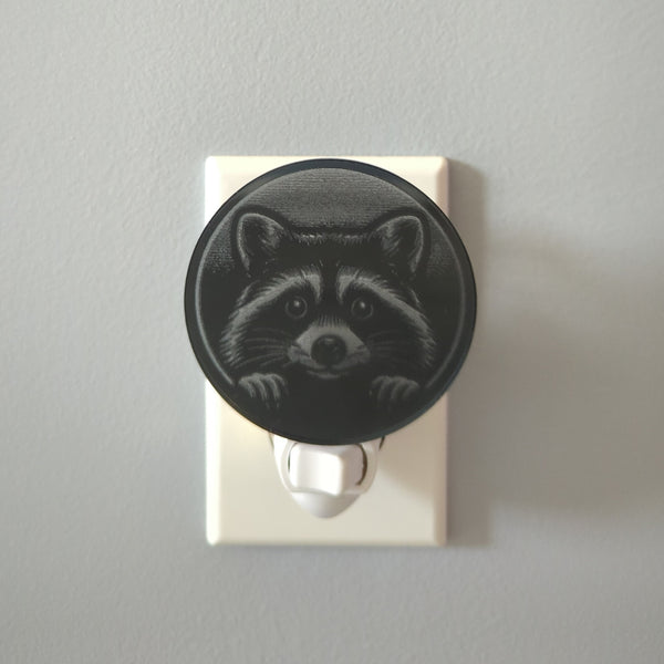 Peeking Raccoon Mirror Acrylic Night Light