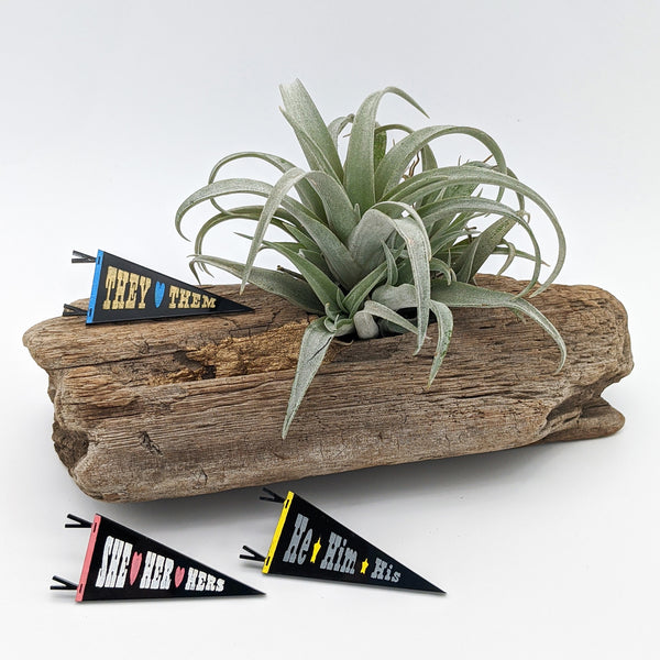 Preferred Gender Pronouns Pennant Pins
