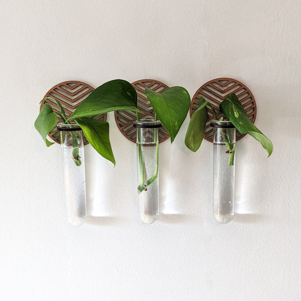 Wall Hanging Graphic Circle Propagation Vase