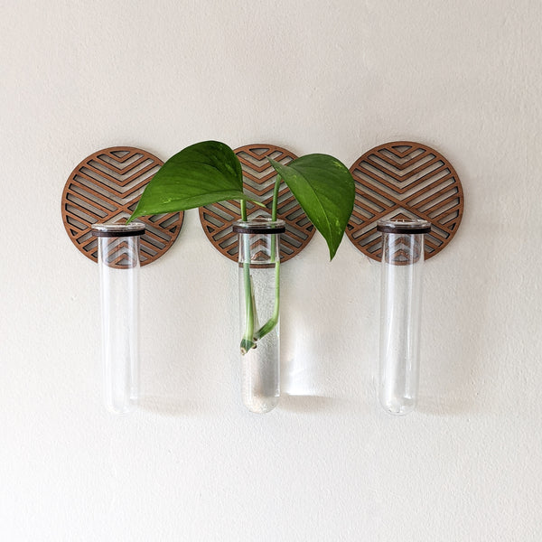 Wall Hanging Graphic Circle Propagation Vase