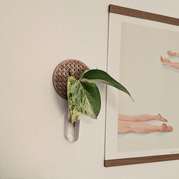 Wall Hanging Rattan Cane Circle Propagation Vase