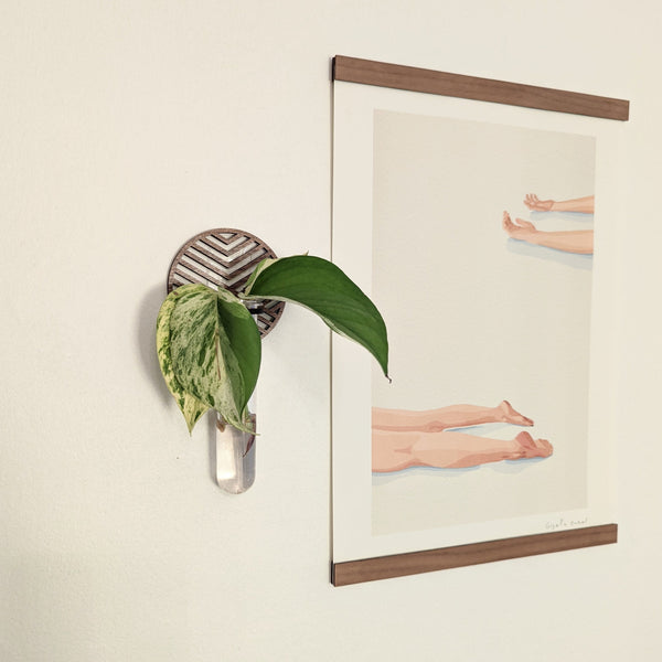 Wall Hanging Graphic Circle Propagation Vase