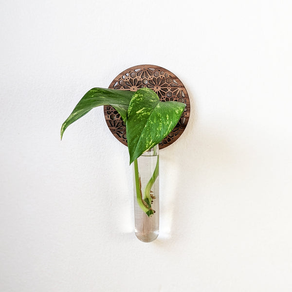 Geometric Flower Circle Propagation Wall Vase