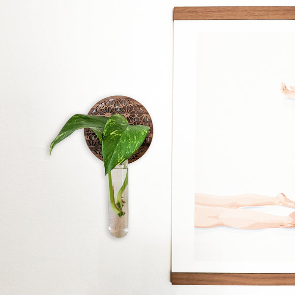 Geometric Flower Circle Propagation Wall Vase