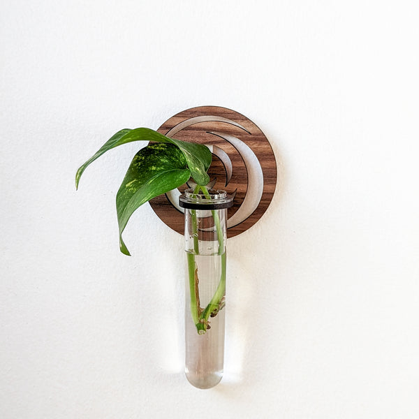 Golden Ratio Flower Circle Propagation Wall Vase