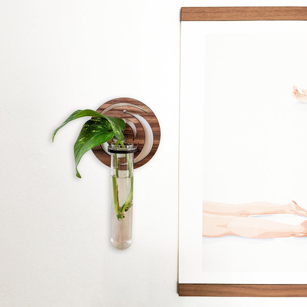 Golden Ratio Flower Circle Propagation Wall Vase