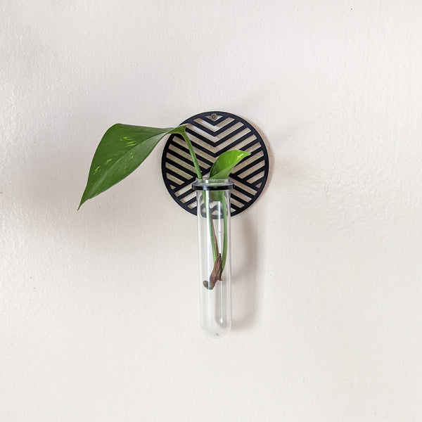 Wall Hanging Graphic Circle Propagation Vase