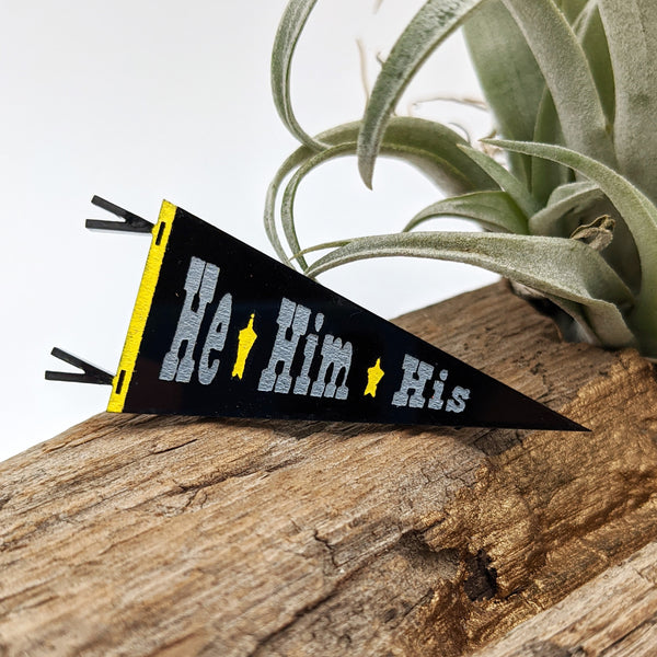 Preferred Gender Pronouns Pennant Pins