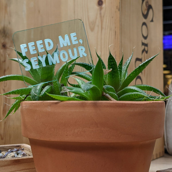 Funny and Punny Plant Markers
