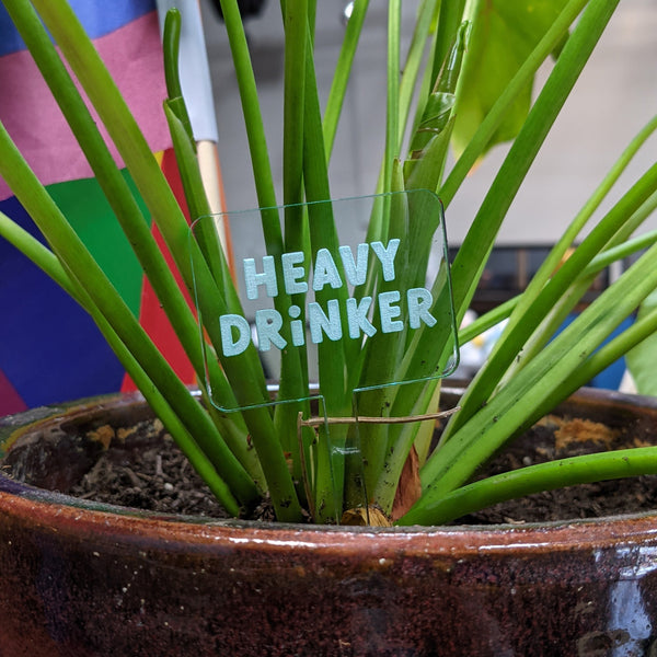 Funny and Punny Plant Markers - Watering Reminders and Drinking Jokes