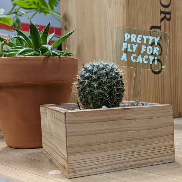 Funny and Punny Plant Markers