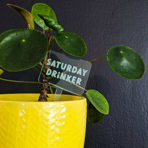 Funny and Punny Plant Markers - Watering Reminders and Drinking Jokes