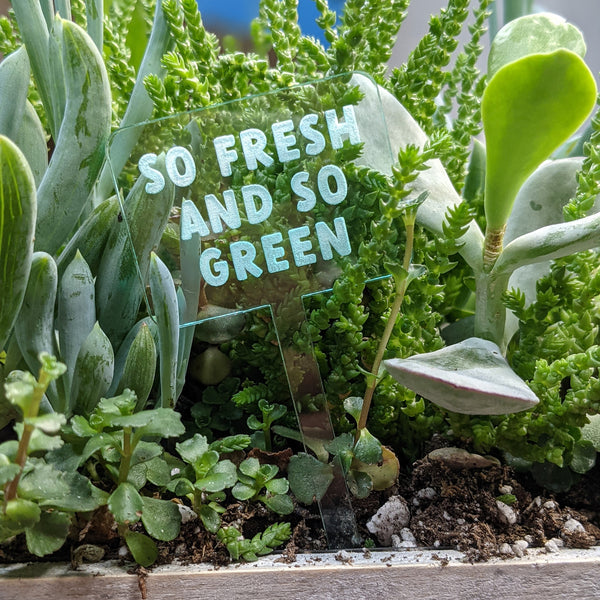 Funny and Punny Plant Markers