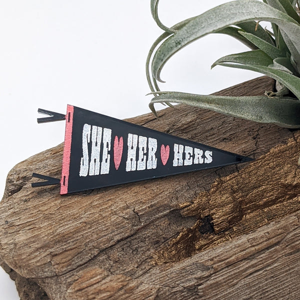 Preferred Gender Pronouns Pennant Pins