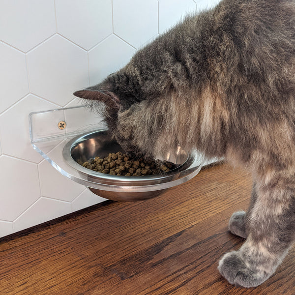Double Wall Mounted Acrylic Pet Feeder