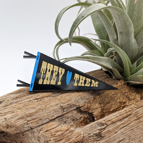 Preferred Gender Pronouns Pennant Pins