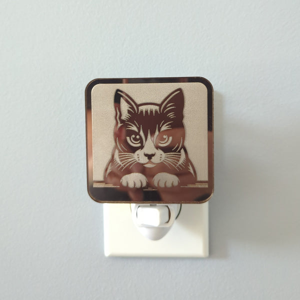 Kitty Staring Contest Mirror Acrylic Night Light