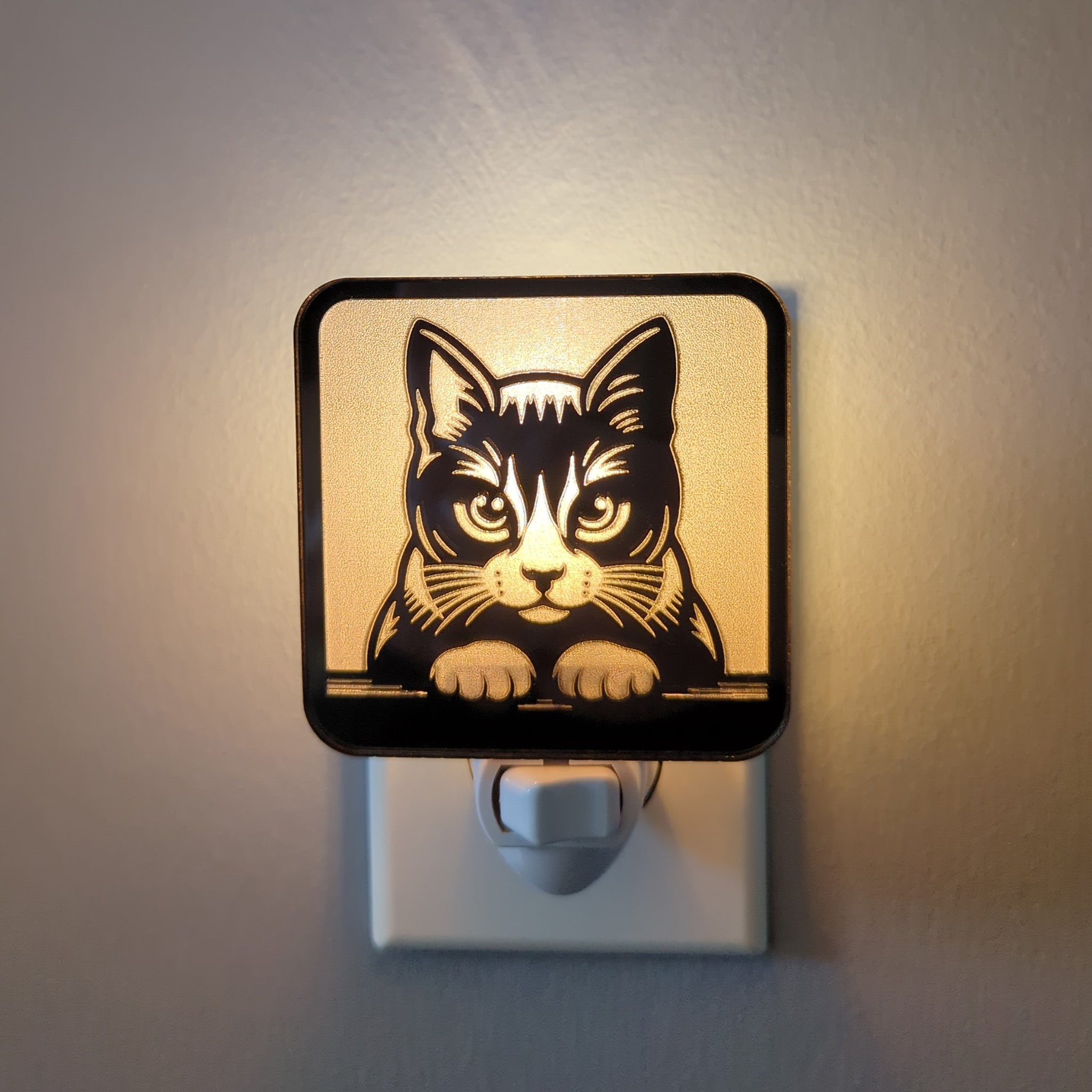 Kitty Staring Contest Mirror Acrylic Night Light