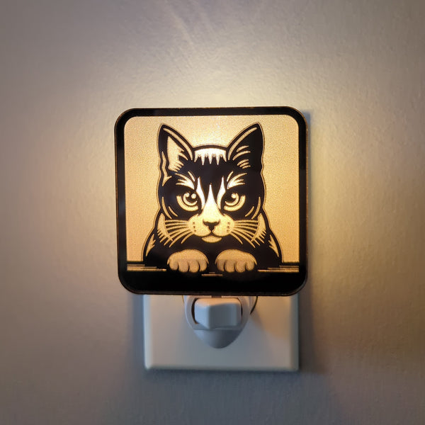 Kitty Staring Contest Mirror Acrylic Night Light