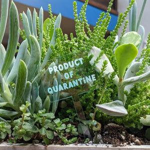 Funny and Punny Plant Markers - Quarantine Humor