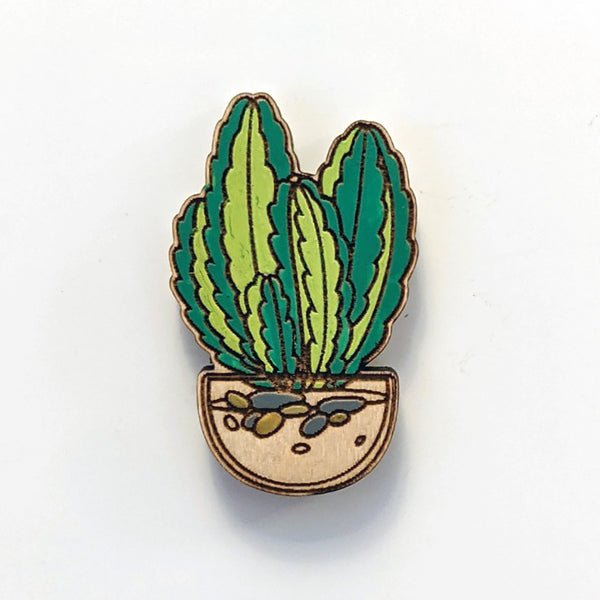 Succulent Magnets